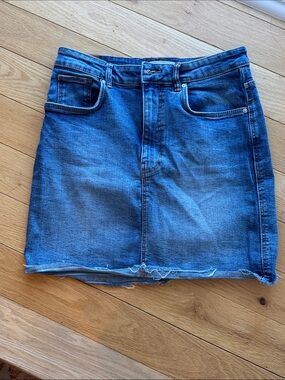 Zara Jean Skirt